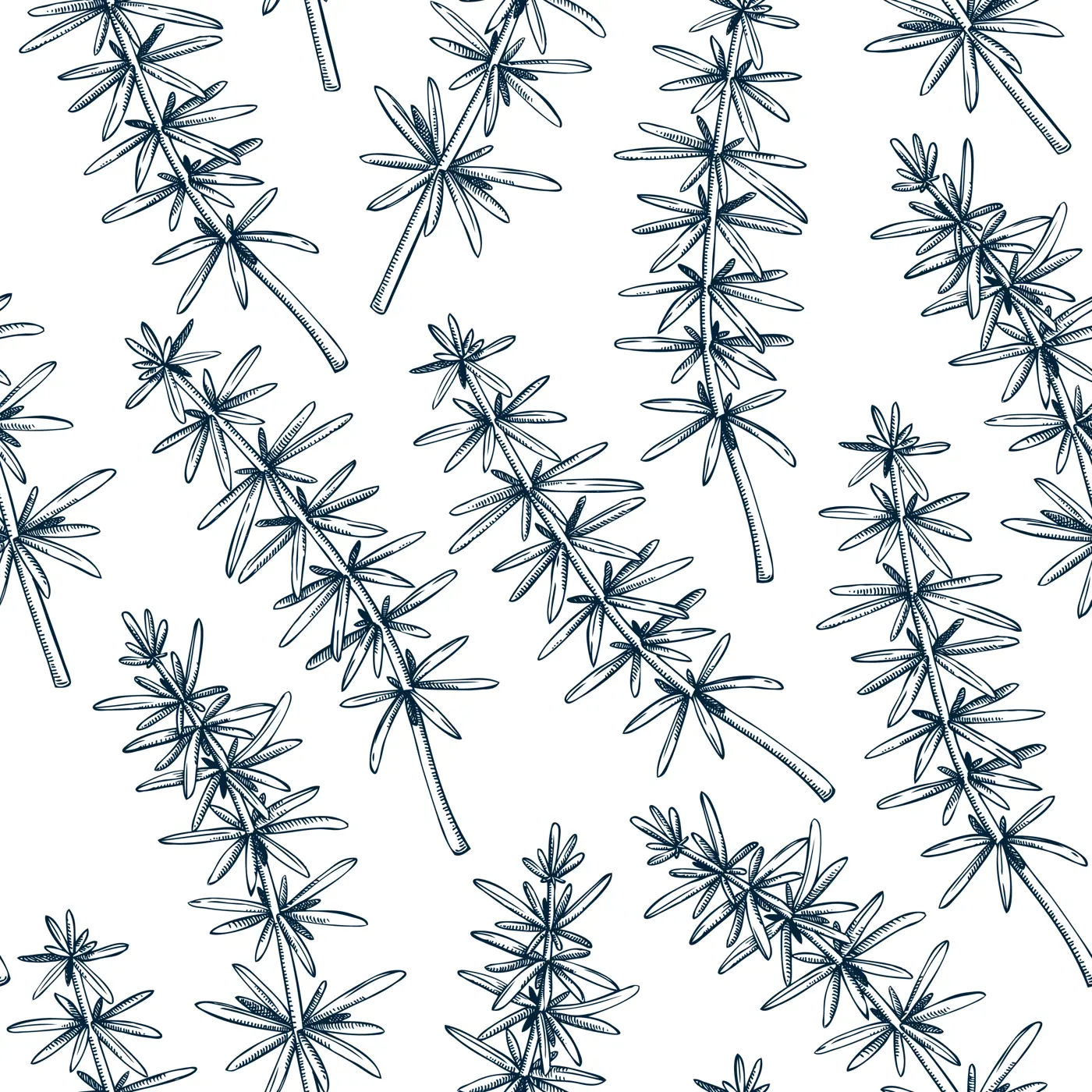 Edible seaweed background in sketch style. Vector food illustration. Hijiki drawings. Underwater plants seamless pattern for textile, packaging, wrapping paper or prints. Illustration